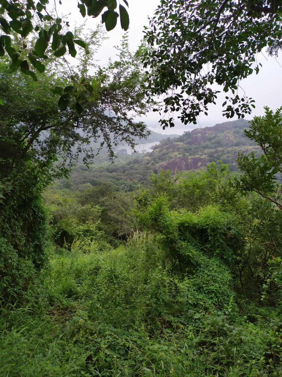 Home whatsapp image 2025 11 22 at 02.08.57 (2)