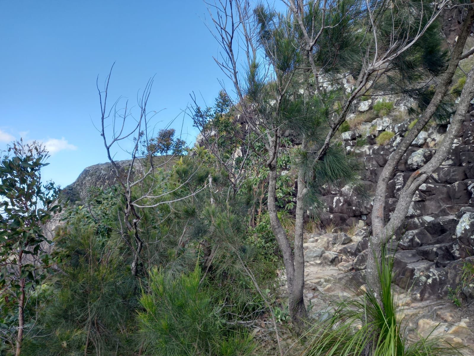 Home whatsapp image 2025 11 22 at 02.09.00