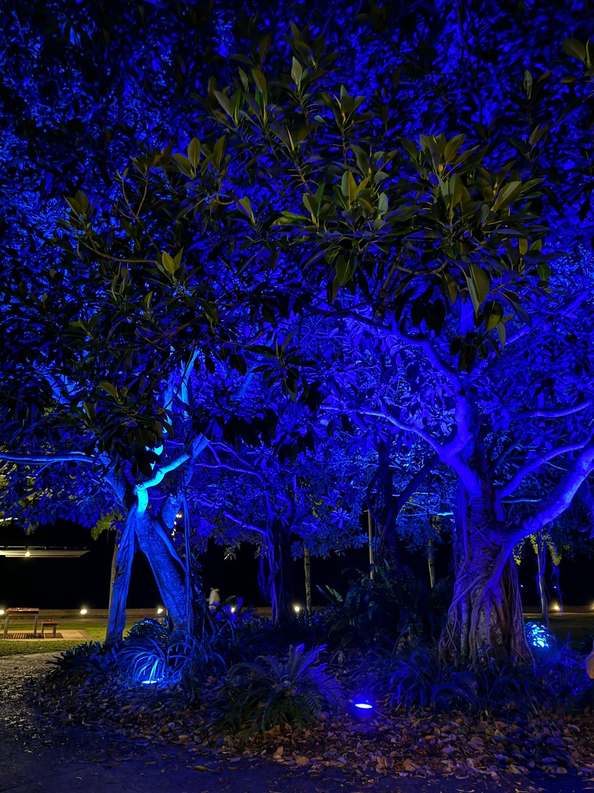 Home whatsapp image 2025 11 22 at 02.09.12