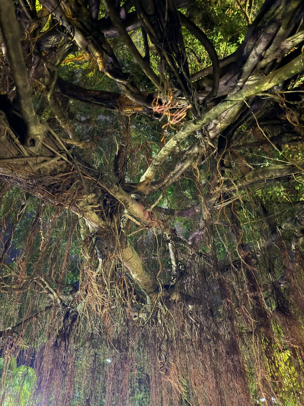 Home whatsapp image 2025 11 22 at 02.09.17