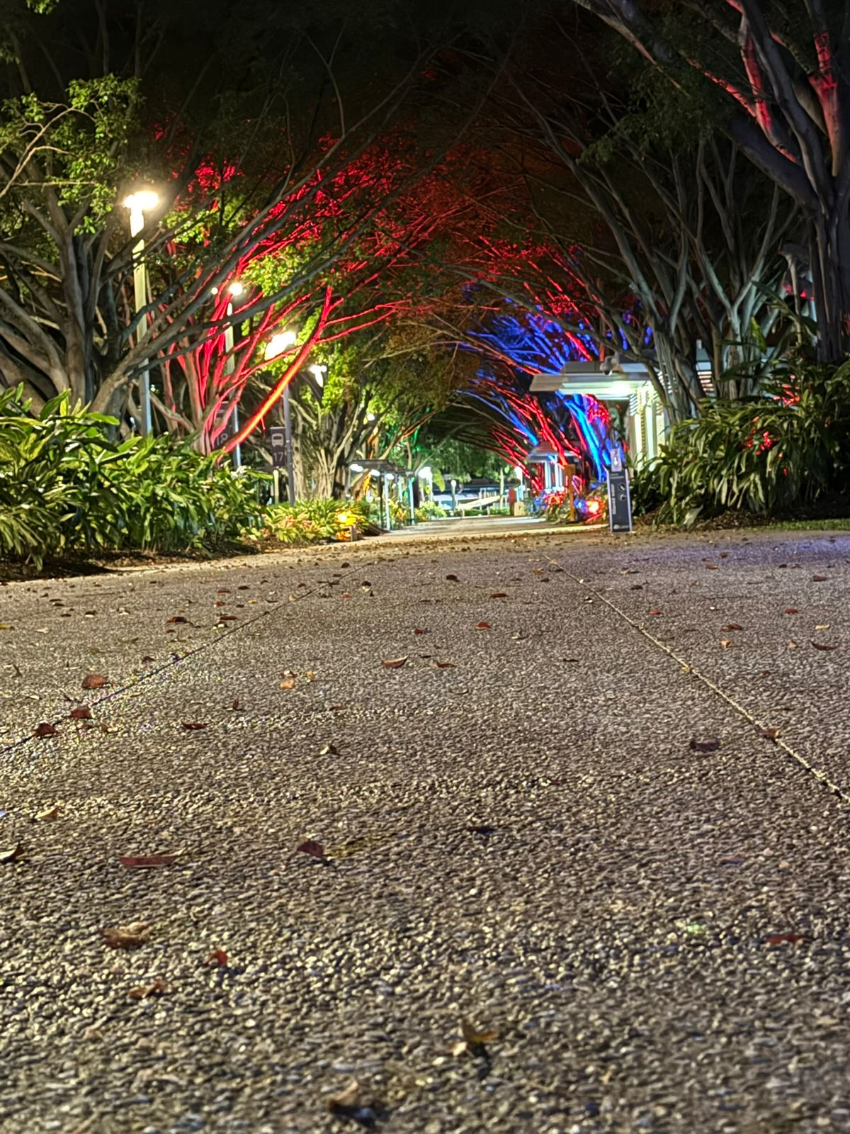 Home whatsapp image 2025 11 22 at 02.09.18 (1)