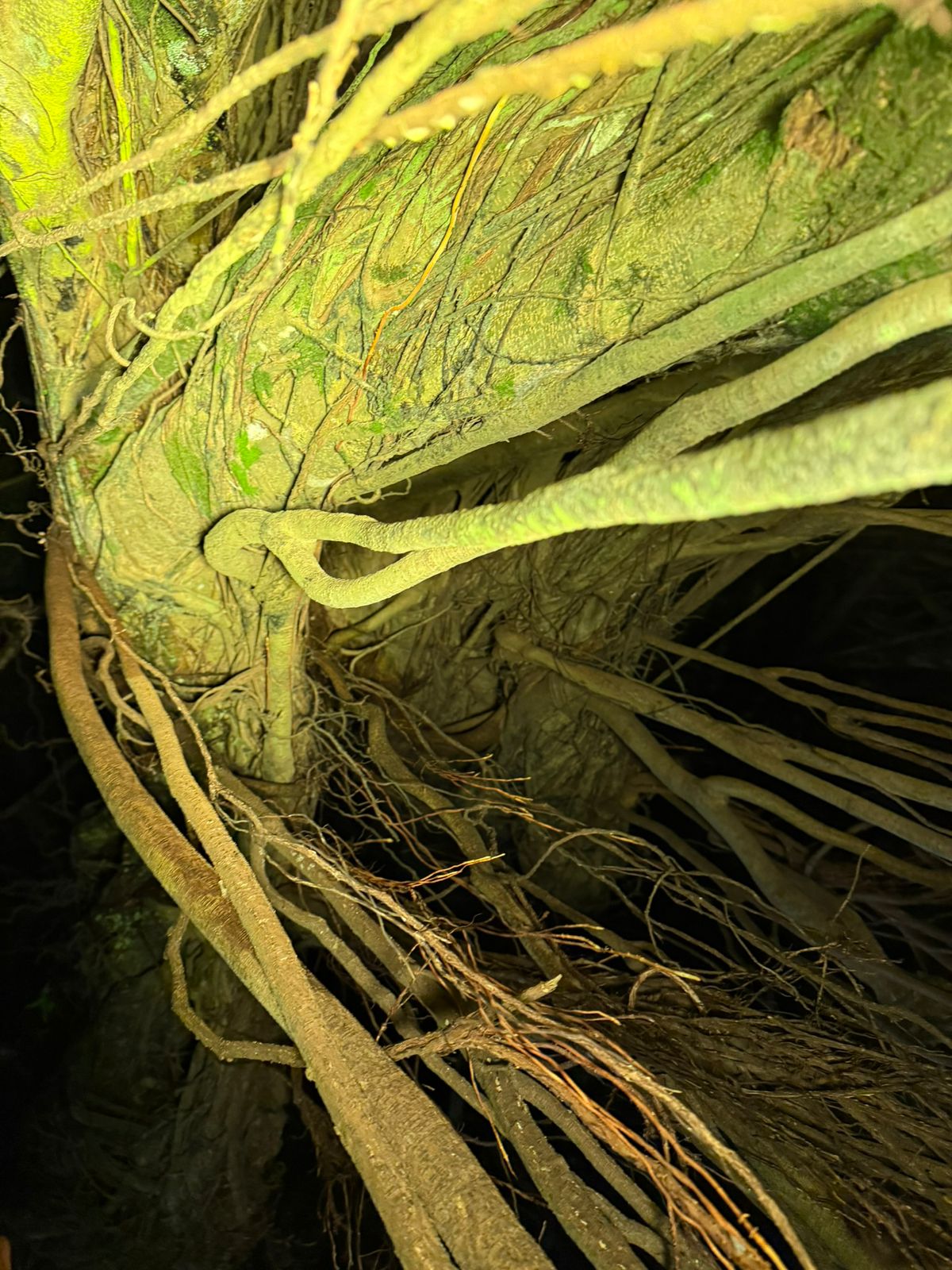 Home whatsapp image 2025 11 22 at 02.09.18