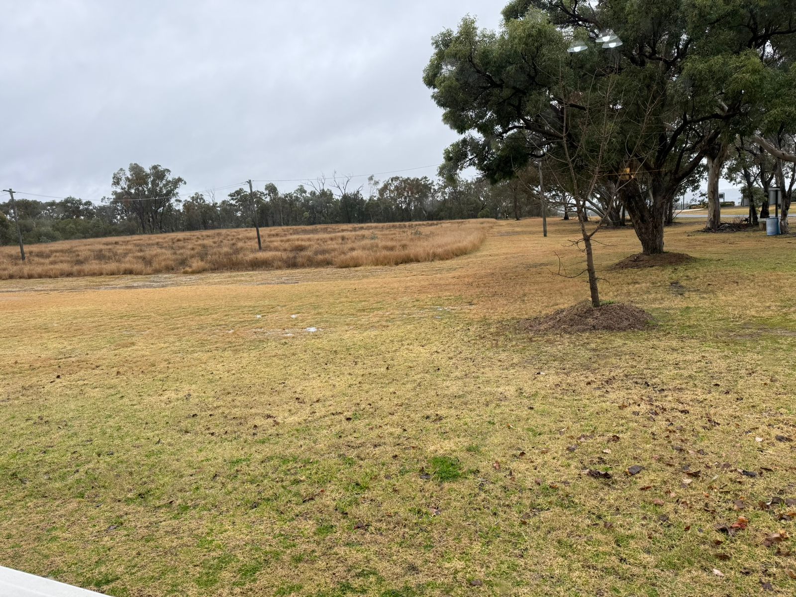 Home whatsapp image 2025 11 22 at 02.41.30