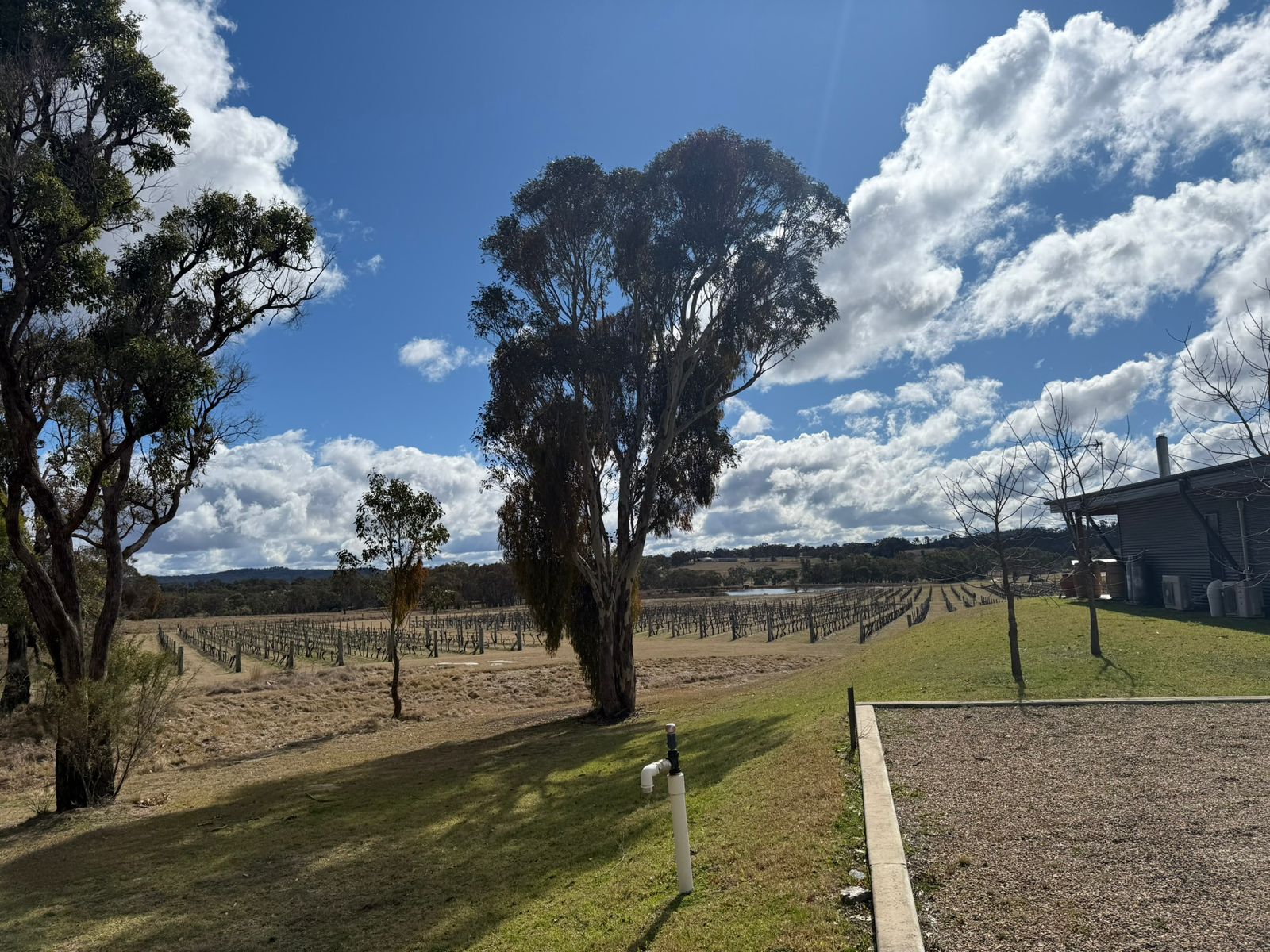 Home whatsapp image 2025 11 22 at 02.41.31 (1)