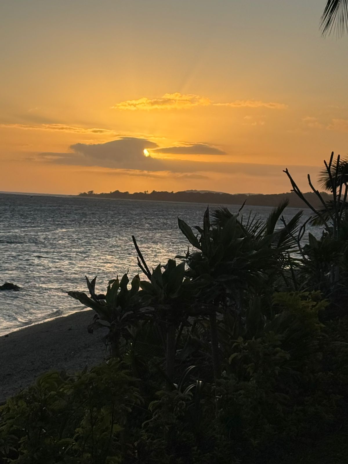 Home whatsapp image 2025 11 22 at 02.41.33